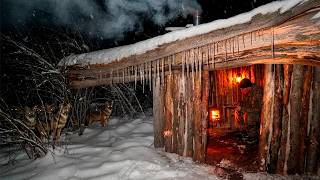 Building My Most Dangerous Shelter Yet: Near the Jackals