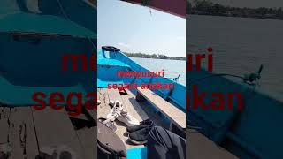 segara anakan Nusakambangan #segaraanak #nusakambamgan
