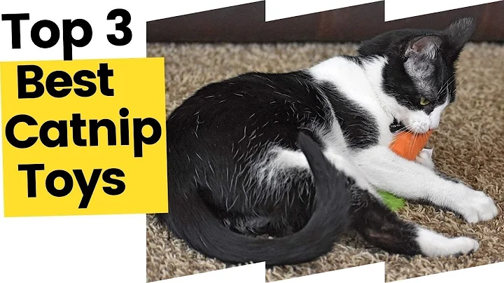 Best Catnip Toys For Cats in 2023