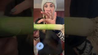 How to pick and prepare a leek!
