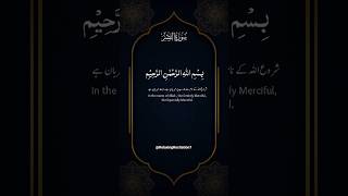 Surah An-Nasr Soothing Quran Recitation