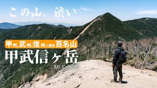 【甲武信ヶ岳】ひたすら登る渋い徳ちゃん新道にも癒しはあった｜日本百名山