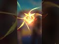 new video creat