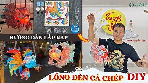 Hướng dẫn lắp ráp Lồng đèn Cá chép DIY I tamnguyendecor I Tâmshoppe - Thế giới Decor