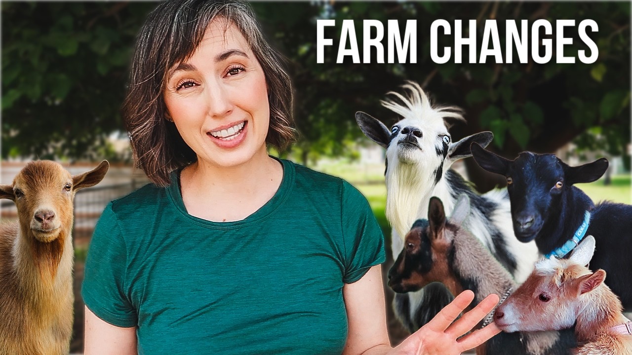 We Said Goodbye to Some Goats 🥲