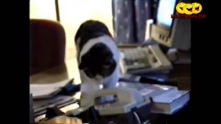16 Minutes of EPIC FAIL COMPILATION! July 2013