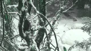 Cool jazz TURKISH CHILLOUT NIHAVENT.