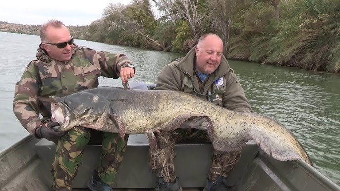 Pecanje soma - Italija reka Minćo 1 | Fishing big catfish in Italy - YouTube