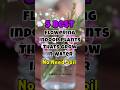 Best flowering indoor plants grow in water / soilless flowering plants #houseplants #shorts Mp3 Song