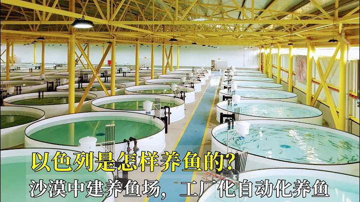 以色列是怎樣養魚的？沙漠中建養魚場，工廠化自動化養魚，真先進！ - 天天要聞