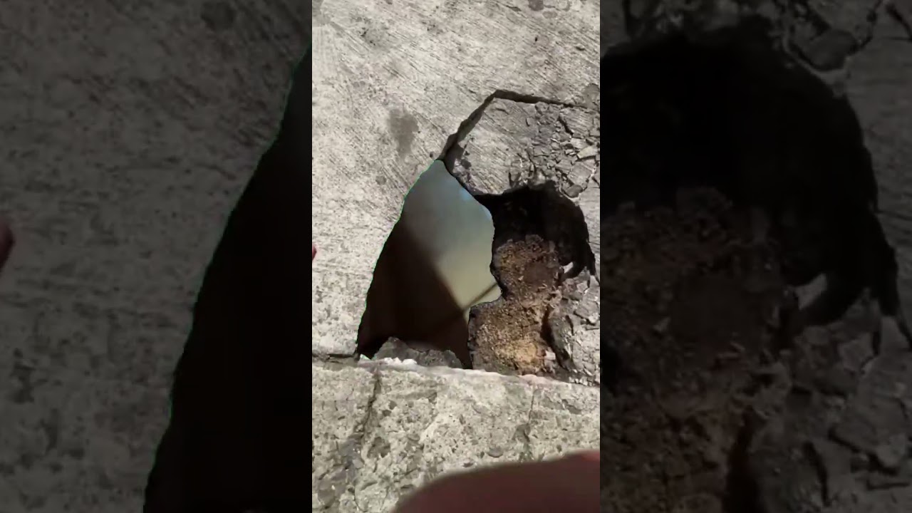 Evergreen Terrace at Furnace Fest 2024 