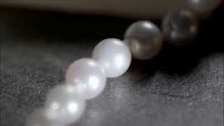 Enseñame A Volar, Teaser