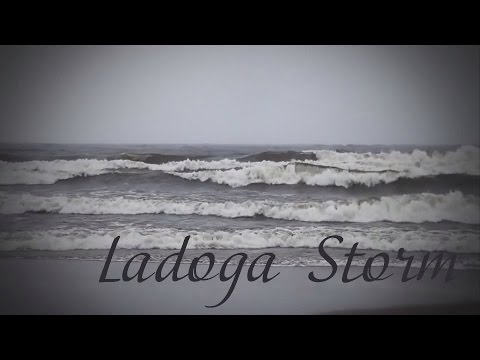 Video: Artery For The Revival Of The Northern Ladoga Area