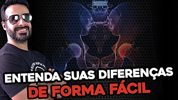 O que é musculatura de períneo?