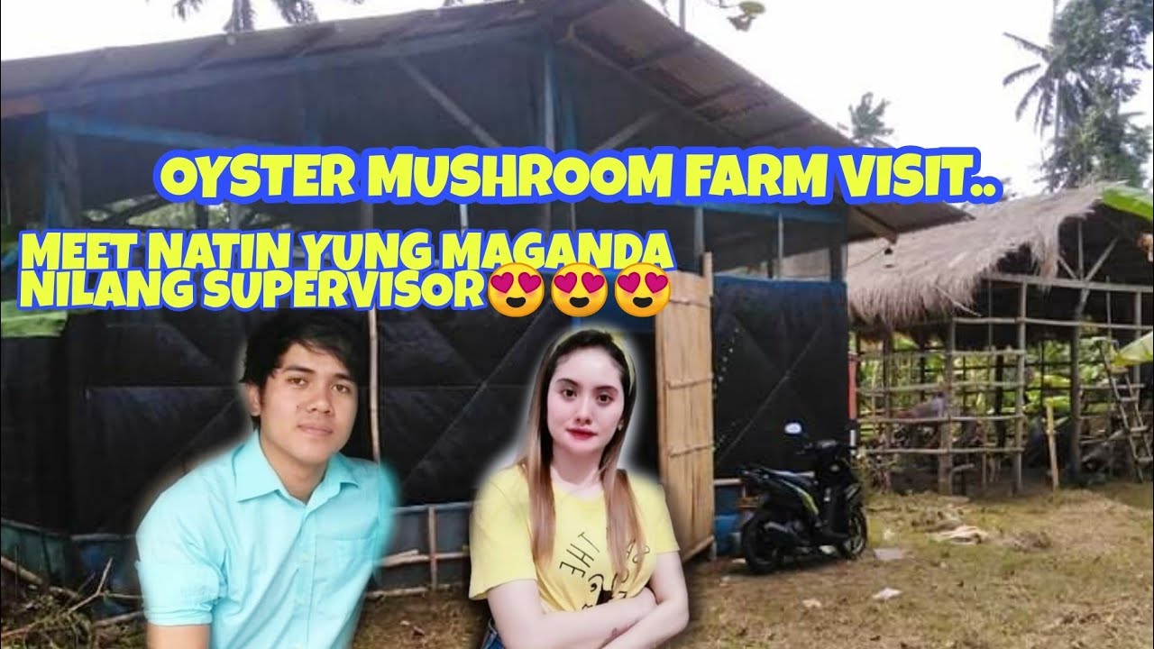 OYSTER MUSHROOM FARM VISIT IN RIZAL AREA..SOBRANG LAKI !!!😱😱