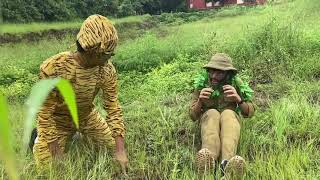 The Endangered Tigers