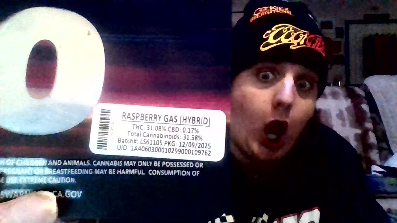 Raspberry Gas Strain Review!!