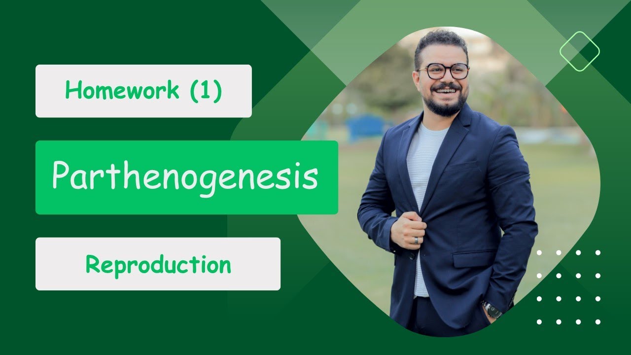 Homework (1) Parthenogenesis Reproduction YouTube