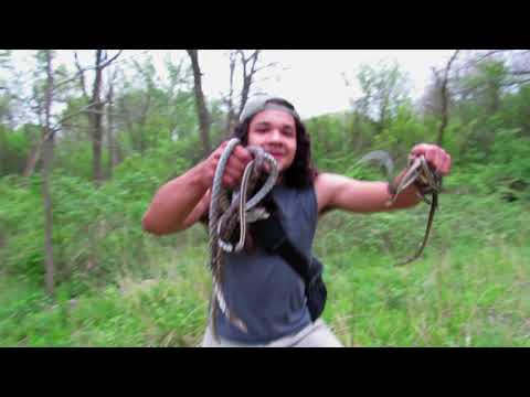 How to Find Milk Snakes (Flipping TONS of Snakes Under Boards)