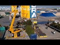[dashu.jp] Japan's largest Garden trees and Bonsai export company! Podocarpus Tùng La Hán