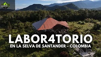 Modern LAB4TORY in the Santander JUNGLE.
