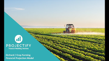 Orchard/Crop Farming Financial Projection 3 Statement Model with Scenario Analysis