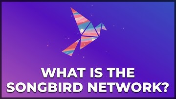Songbird Network - Wat is het? (Minder dan 5 minuten)!
