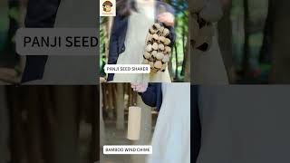 Panji Shell Meets Bamboo Wind Chime 🎋💧🎐 – Deep Spring Drops &amp; Hollow Bamboo Echoes
