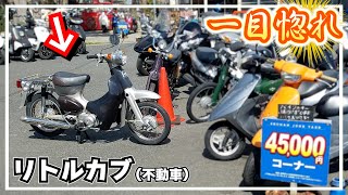 【完全版】解体屋で買った ≪ ホンダ リトルカブ ≫ レストア編