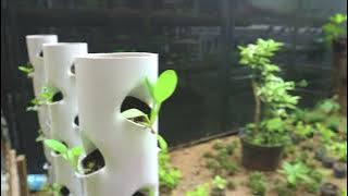 Profil Kelurahan Gending