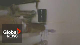 BC woman says she found hidden cameras in her California Airbnb: "I felt sick" Wealth