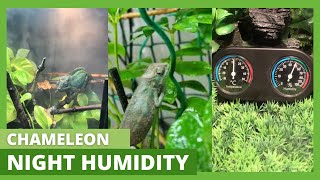 What should the Humidity for Chameleon be at Night?