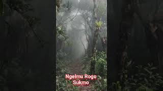 NGELMU ROGO SUKMO #sejarah #jawajawa