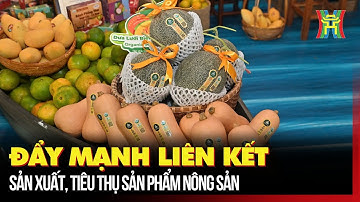 Đẩy mạnh liên kết sản xuất, tiêu thụ sản phẩm nông sản