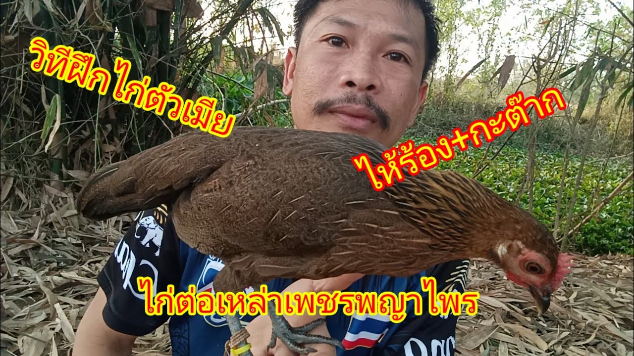 4 มีนาคม ค.ศ. 2026