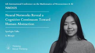Spotlight - Neural Networks Reveal a Cognitive Continuum Toward Human Abstraction