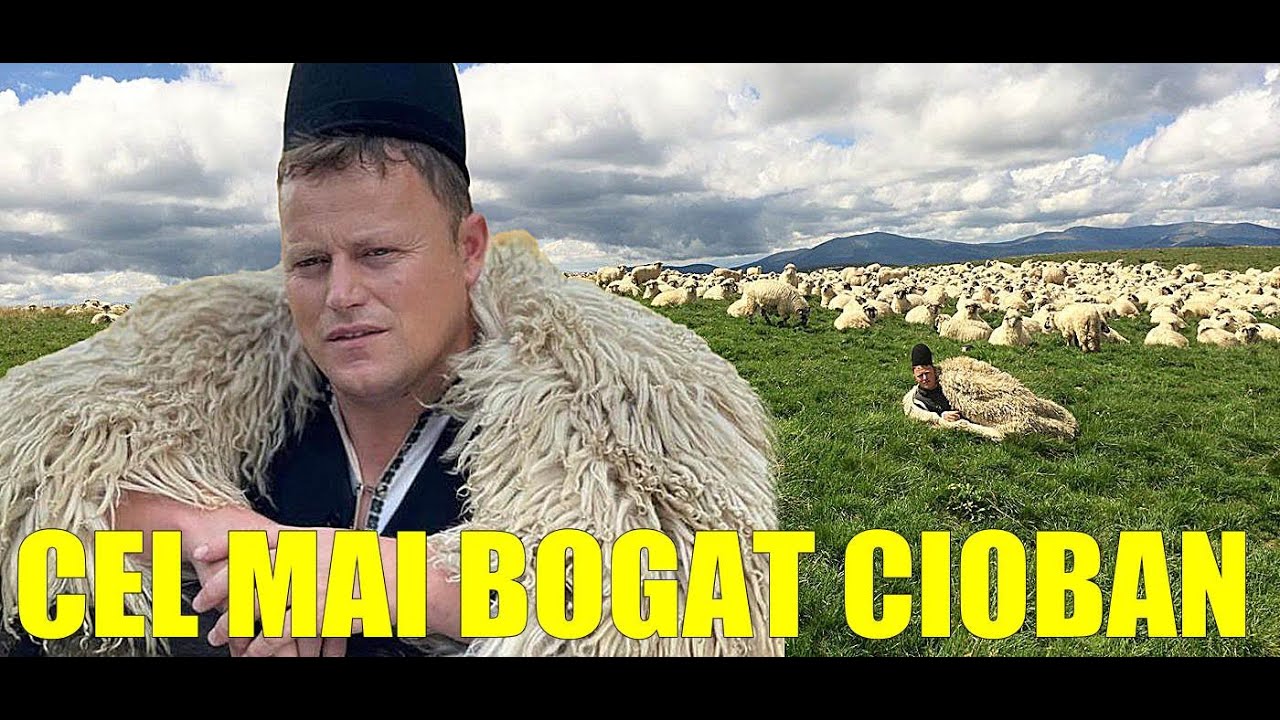 CELE MAI BOGATE CIOBANITE DIN ROMANIA ! PESTE 3000 DE OI