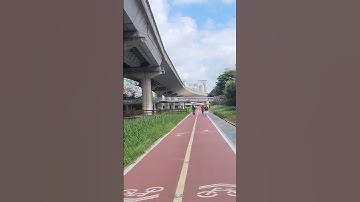Thumbnail of 문주란. 동숙의 노래. 정릉천 자전거길.서울.한국.Moon Ju-ran. Dong-suk's Song. Jeongneungcheon Bicycle Path.Seoul. Korea