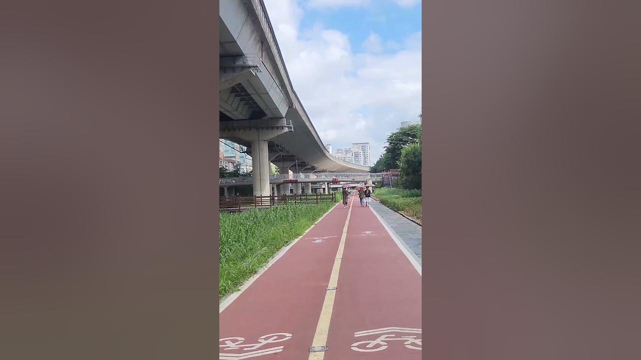 문주란. 동숙의 노래. 정릉천 자전거길.서울.한국.Moon Ju-ran. Dong-suk's Song. Jeongneungcheon Bicycle Path.Seoul. Korea