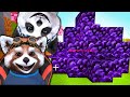 Minecraft dar ... BEDWARS !