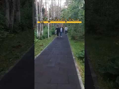 منحة جامعة سيدني منح دراسية