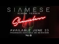 Siamese (Available June 23rd)