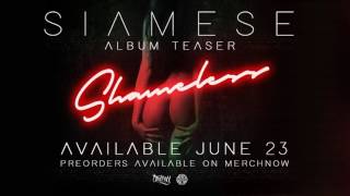 Siamese (Available June 23rd)