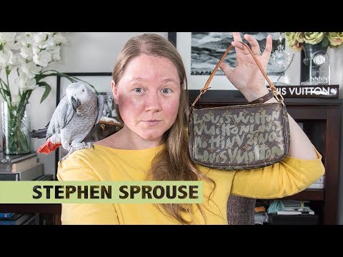 Vintage Louis Vuitton x Stephen Sprouse Pochette Accessories Khaki Gra –  Madison Avenue Couture