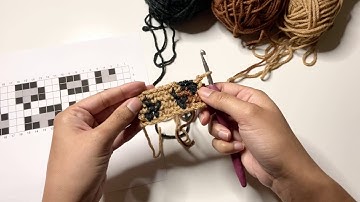 Flat Tapestry Crochet with Reverse Single Crochet