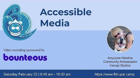 Accessible Media