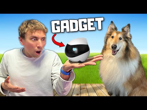 PROVO I GADGET
