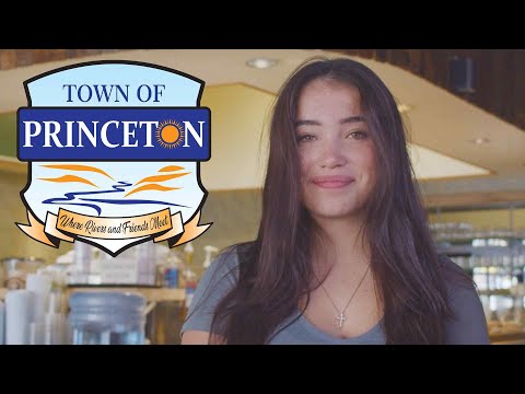 Town Of Princeton