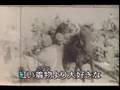 めんこい仔馬