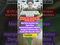 Bangga Indonesia 🇮🇩 #viral #shorts #youtubeshorts
